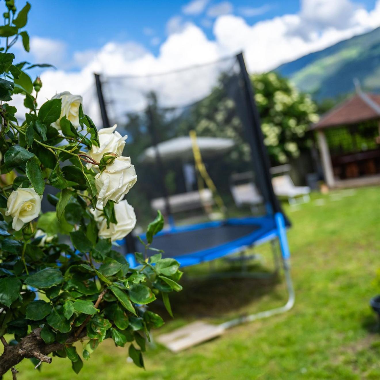 Biohof Gala Daire Naturns Dış mekan fotoğraf